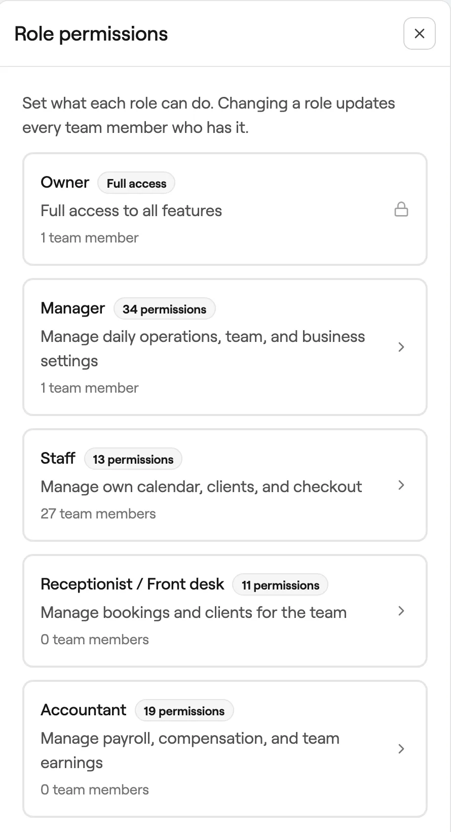 Role permissions with Owner, Manager, Staff, Receptionist and Accountant